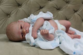HBN Art Dolls by Evon Nather Reborn Baby Michelle E Wosnjuk Newborn Dream