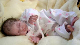 Reborn Baby Art Doll Preemie Twins Bean Sprout by Laura Lee Eagles 119 400