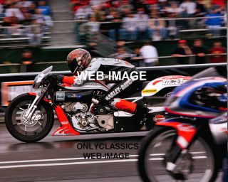 Harley Davidson V Rod NHRA Drag Racing Motorcycle Photo