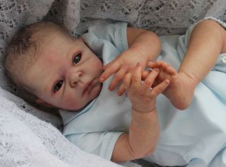 Beautiful Reborn Baby Boy Doll Sammie Sam's Reborn Nursery Limited Edition