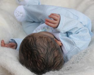 Beautiful Reborn Baby Boy Doll ''Life's Little Miracle" Sculpted by Tina Kewy