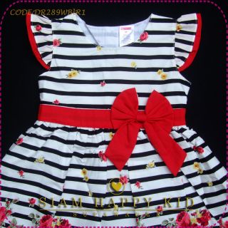 Baby Gap Dress 4T NWT