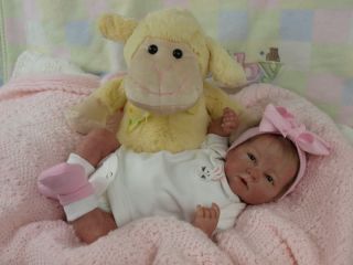 Reborn Baby OOAK Berenguer Newborn Preemie Girl Doll