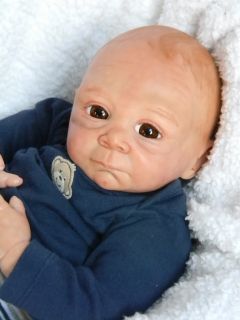 TSD Reborn Baby Boy Painted Hair Tummy Plate Glass Eyes Boo Boo Baby