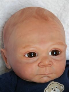 TSD Reborn Baby Boy Painted Hair Tummy Plate Glass Eyes Boo Boo Baby
