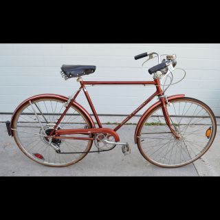 Men's Vintage 1975 Schwinn Suburban Road Bike Bicycle 5 Speed Brown