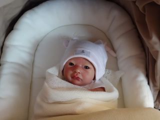 Precious Little Babies Prototype Reborn Baby Girl Twin Liberty Laura Lee Eagles