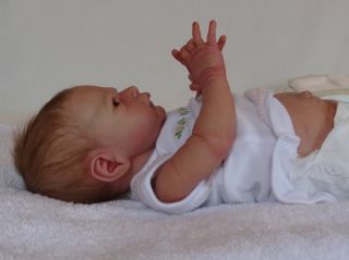 Precious Little Babies Prototype Reborn Baby Girl Twin Liberty Laura Lee Eagles