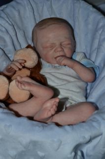 Amazing Reborn Baby Boy Huggable by Marita Winters Realistic Preemie 