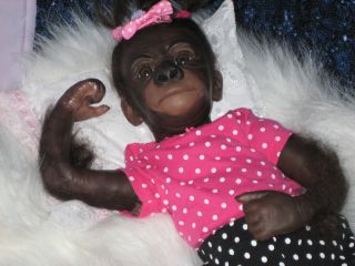 Sweet Pea Babies Nursery Reborn Doll Primate Gorilla Kiwi by Denise Pratt