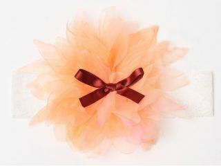 1pc New Baby Girl Toddler Chiffon Lace Flower Headband Hair Band Bow Accessory