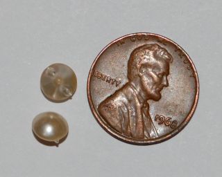 Vintage Antique Tiny Pearl Glass Baby Doll Button Bead 6mm Buttons