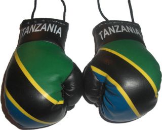 Tanzania New Mini Punch Boxing Gloves Car Mirror Mascot