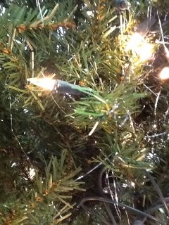 Member's Mark 7 Foot Slim Pre Lit Christmas Tree 750 Clear Lights Green Holidays