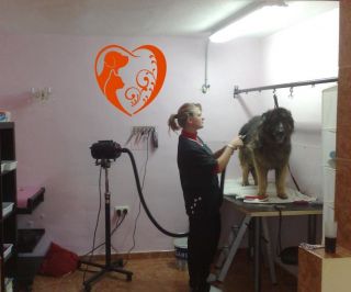 Wall Vinyl Decal Dog Cat Grooming Salon Pet Shop Store Housewares Mural Sticker