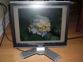 Dell 17" LCD Monitor with Power Cable