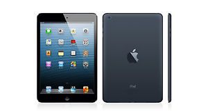 New Apple iPad Mini 16GB Wi Fi 7 9" Display LED Backlit Multi Touch Tablet