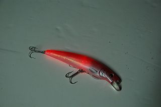 Flashing LED Light Fishing Lure Bass Super Bait Fish