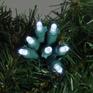 Sterling 50 ct. Cool White 5MM LED Lights with Green Wire   Set of 6 Strings   Christmas Lights