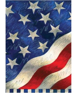 Toland 28 x 40 in. Star Spangled Banner House Flag   Flags