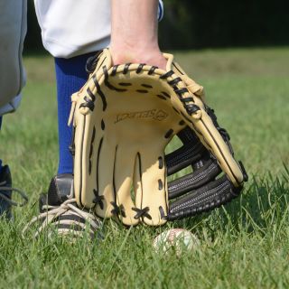 Custom Lion Sports Pro Select Baseball Glove   Single Post Web   Gloves