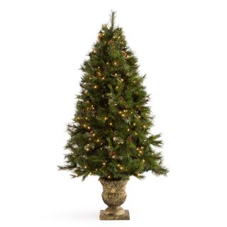 6 ft. Hard Needle Dover Pine With Pinecones Potted Pre Lit Christmas Tree   Christmas Trees