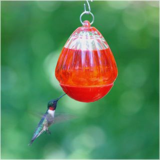 Bee Resistant Hummingbird Feeder   Bird Feeders