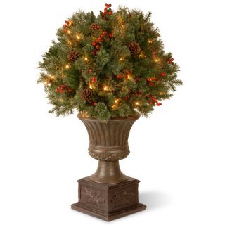 36 in. Gladstone Pine Pre Lit Porch Bush   Clear Lights   Christmas Trees
