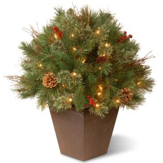 24 in. Glistening Pine Pre Lit Porch Bush   Clear Lights   Christmas Trees