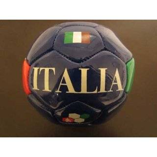Italy 2010 FIFA World Cup Size 2 Mini Pure Roar Soccer Ball